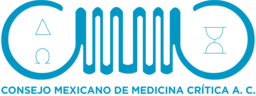 (c) Cmmcritica.org.mx